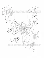 CARBURATORE