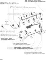 Cablaggio del motore
