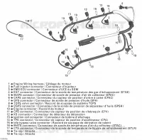 Cablaggio del motore