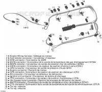 Cablaggio del motore