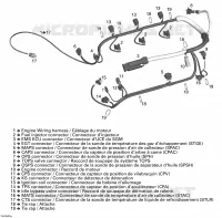 Cablaggio del motore