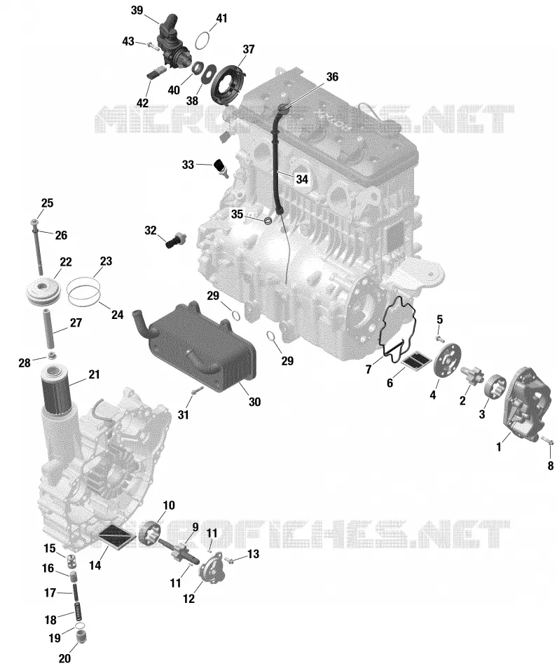 Motore - Lubrificazione