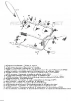 Cablaggio del motore