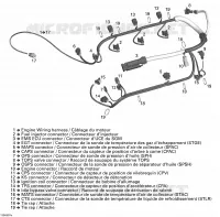 Cablaggio del motore