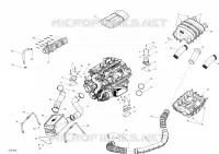 Motore