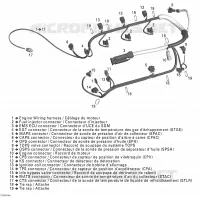 Cablaggio del motore