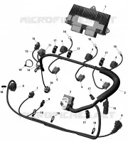 Cablaggio del motore