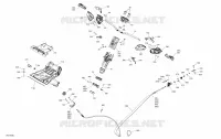 Sterzo