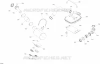 SCARICO