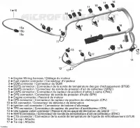 Cablaggio del motore