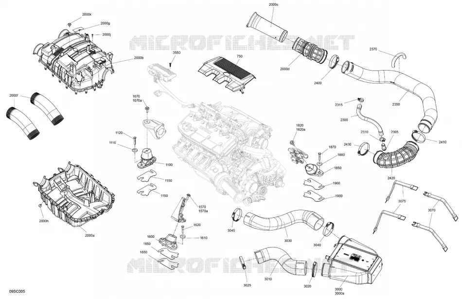 MOTORE