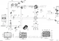 Cablaggio elettrico - Cablaggio principale