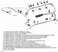Cablaggio del motore