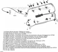 Cablaggio del motore