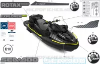 DECALCOMANIE