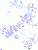 Albero motore, pistoni e albero di equilibratura per Sea-Doo 3D RFI  ( FUEL INJECTION ) 2005
