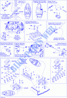 ELETTRICO PARTI per Sea-Doo 00- Model Numbers Edition 1 2008