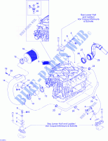 Motore, Marmitta di aspirazione per Sea-Doo 00- Model Numbers Edition 1 2008
