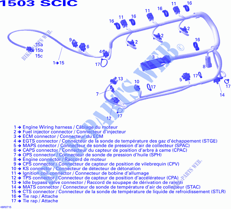 Cablaggio del motore per Sea-Doo 00- Model Numbers 2007