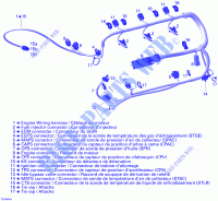 Cablaggio del motore per Sea-Doo 00- Model Numbers Edition 2 2006