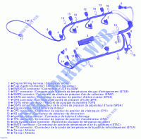 Cablaggio del motore per Sea-Doo 00- Model Numbers Edition 1 2006