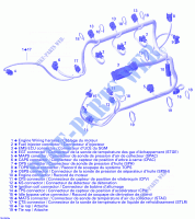 Cablaggio del motore per Sea-Doo 00- Model Numbers Edition 1 2006