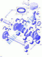 Albero motore e pistone per Sea-Doo 01- Cooling System 2005