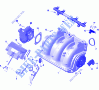 Motore   Collettore di aspirazione  per Sea-Doo RXP 300 2020