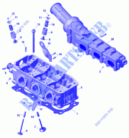 Motore   TESTA CILINDRO per Sea-Doo RXP 300 2020