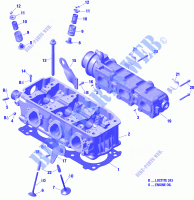 Testa cilindro e COLLETTORI SCARICO per Sea-Doo GTI 130 PRO RENTAL 2020